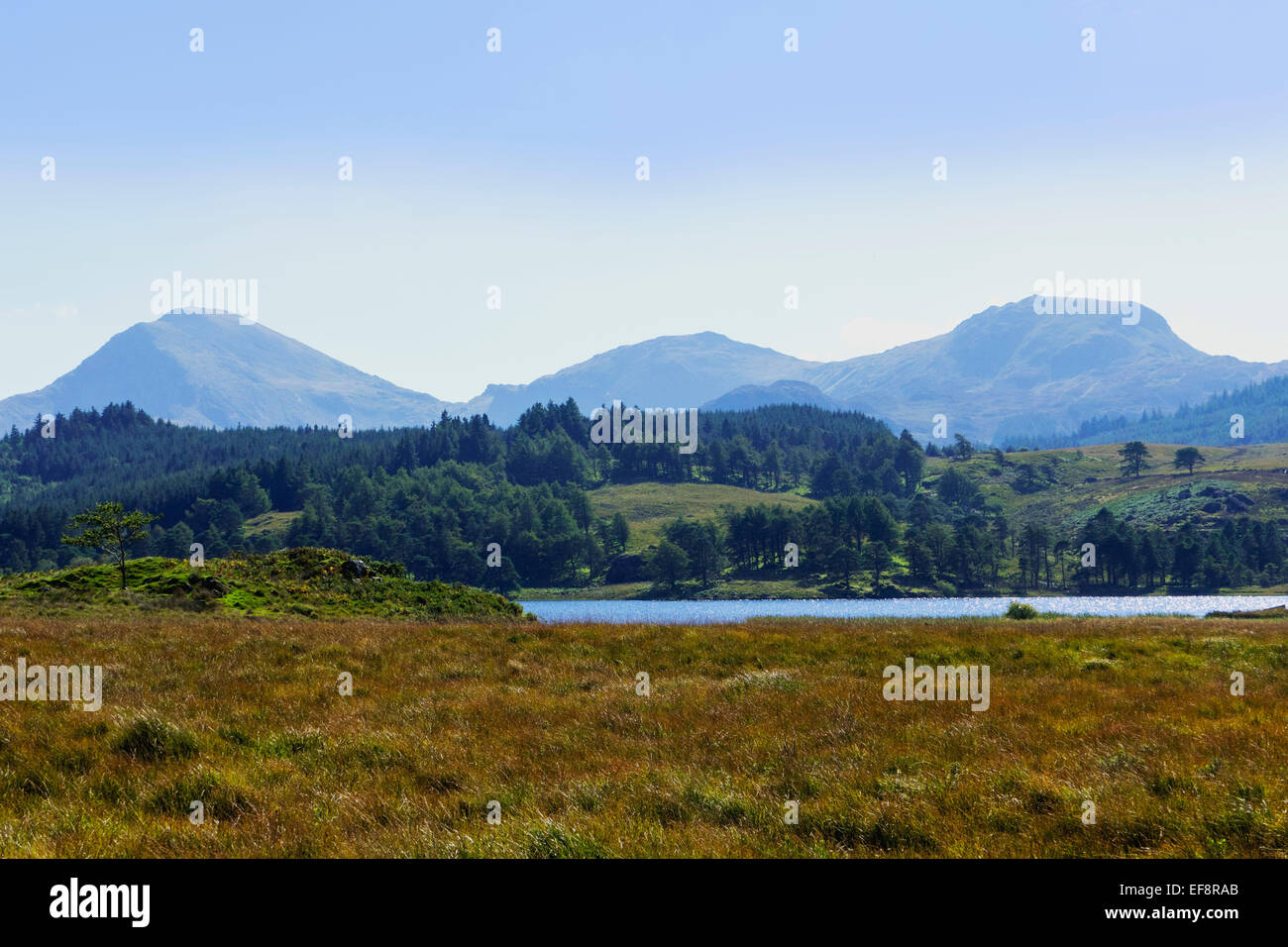 Parco Nazionale di Snowdonia gwynedd north Wales UK Foto Stock