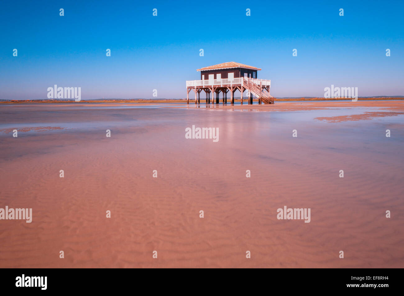 Francia, Gironde, Gujan-Mestras, Baia di Arcachon, palafitta svettante su banchi di sabbia Foto Stock