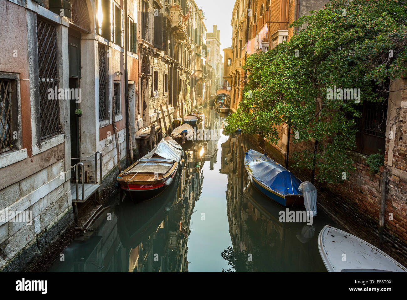 Vista sul canale al mattino, Venezia, Italia Foto Stock