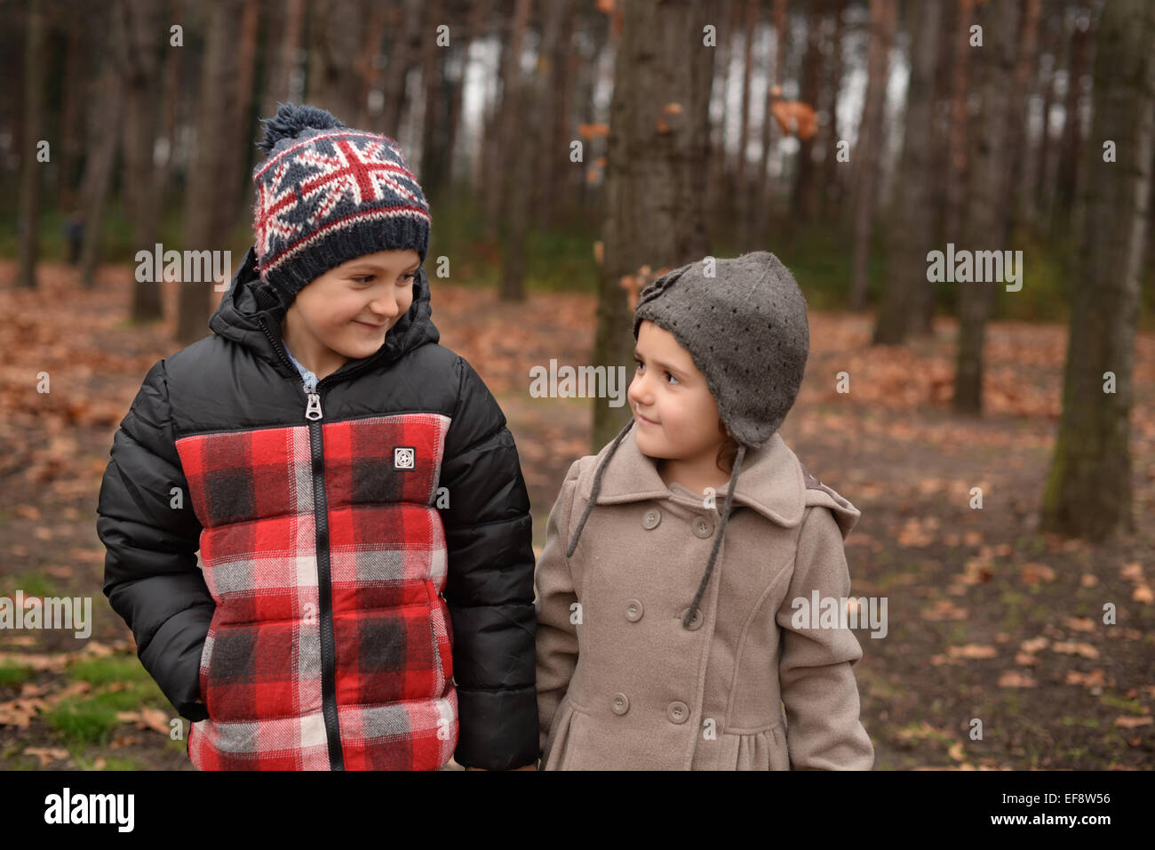 Fratello (6-7) e sorella (4-5) passeggiate in foresta Foto Stock