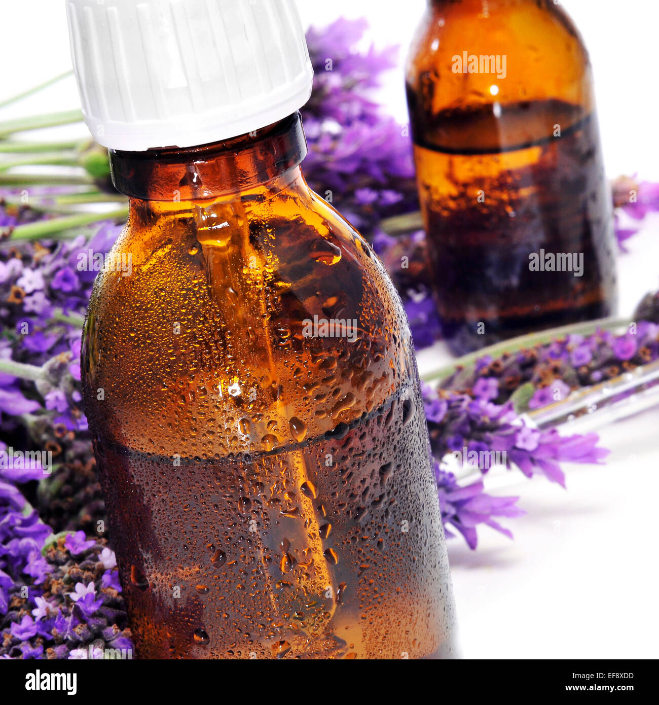 Primo piano di alcuni flaconi a contagocce con rimedi naturali e un mucchio di fiori di lavanda su sfondo bianco Foto Stock