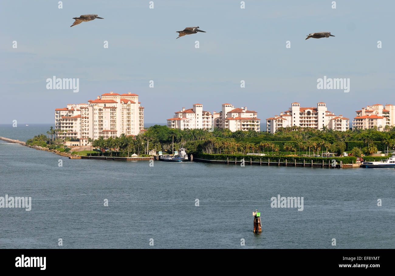 Luxury Ocean front appartamenti a Miami in Florida Foto Stock