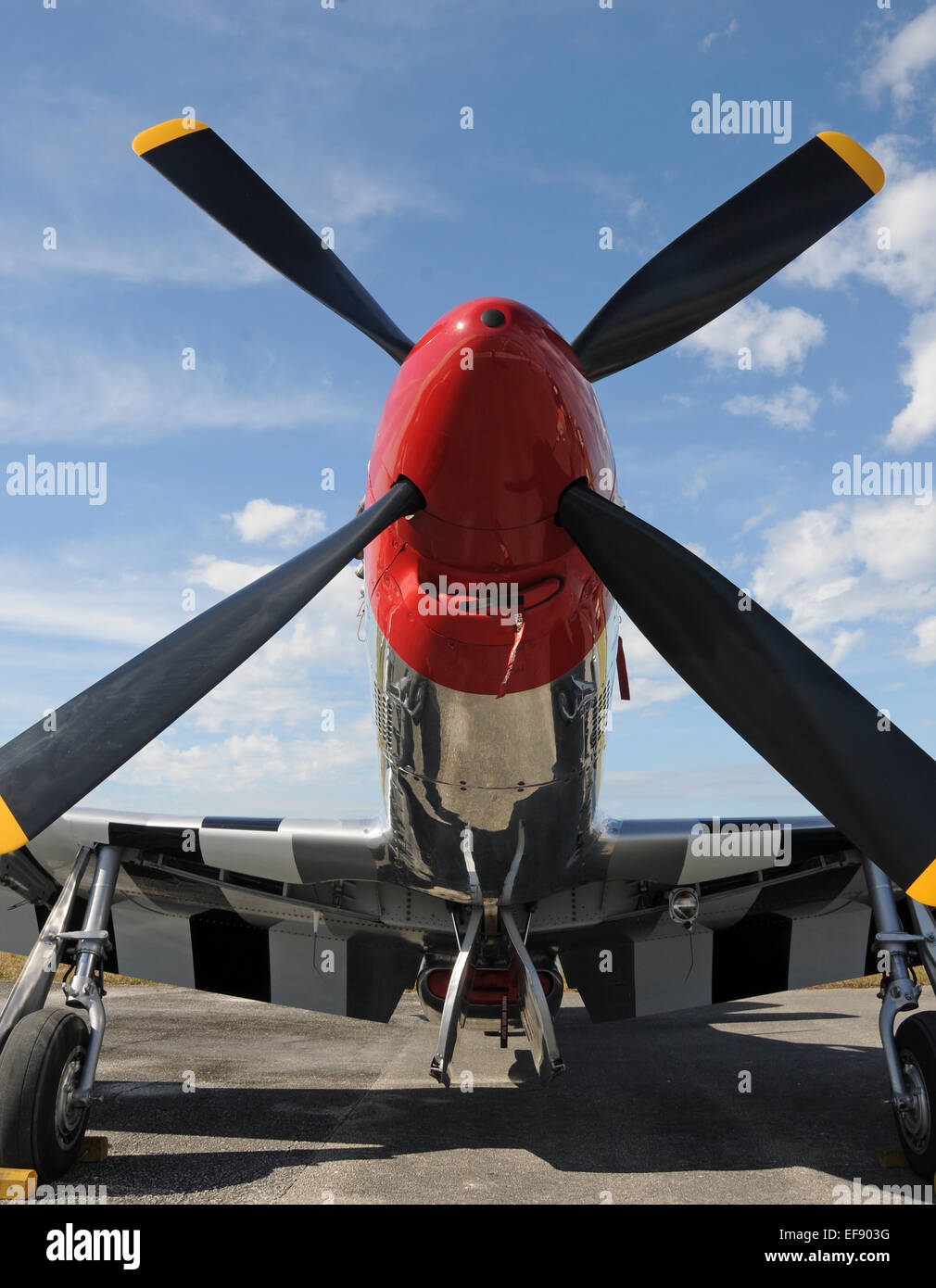 Leggendaria la II Guerra Mondiale era Mustang fighter p Mustang Foto Stock