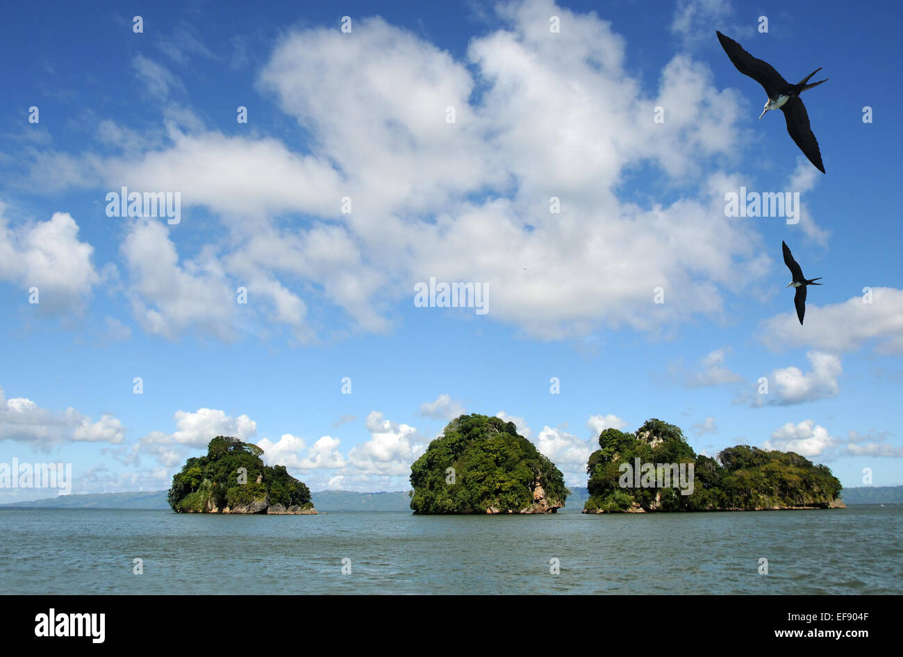 Esotiche isole dominicana popolate da uccelli Foto Stock