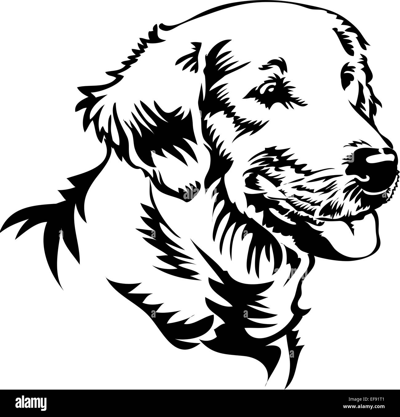 Ritratto di un cane Illustrazione Vettoriale