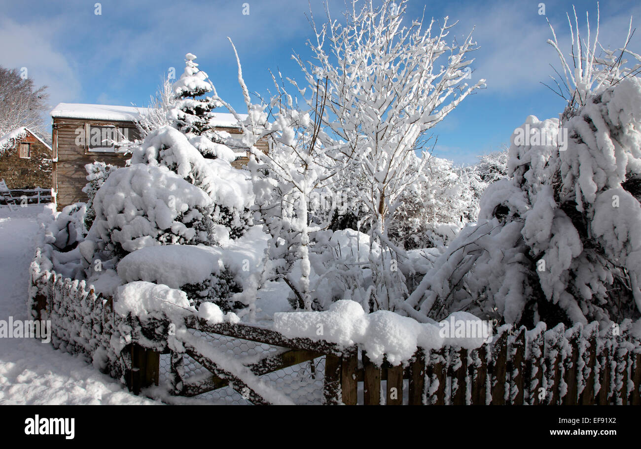 Giardino irlandese nella neve. Foto Stock