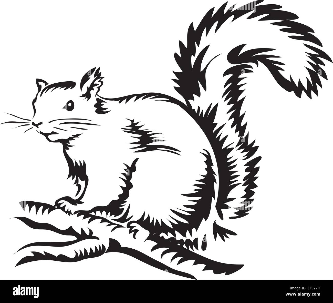 Uno scoiattolo seduto su un ramo Illustrazione Vettoriale
