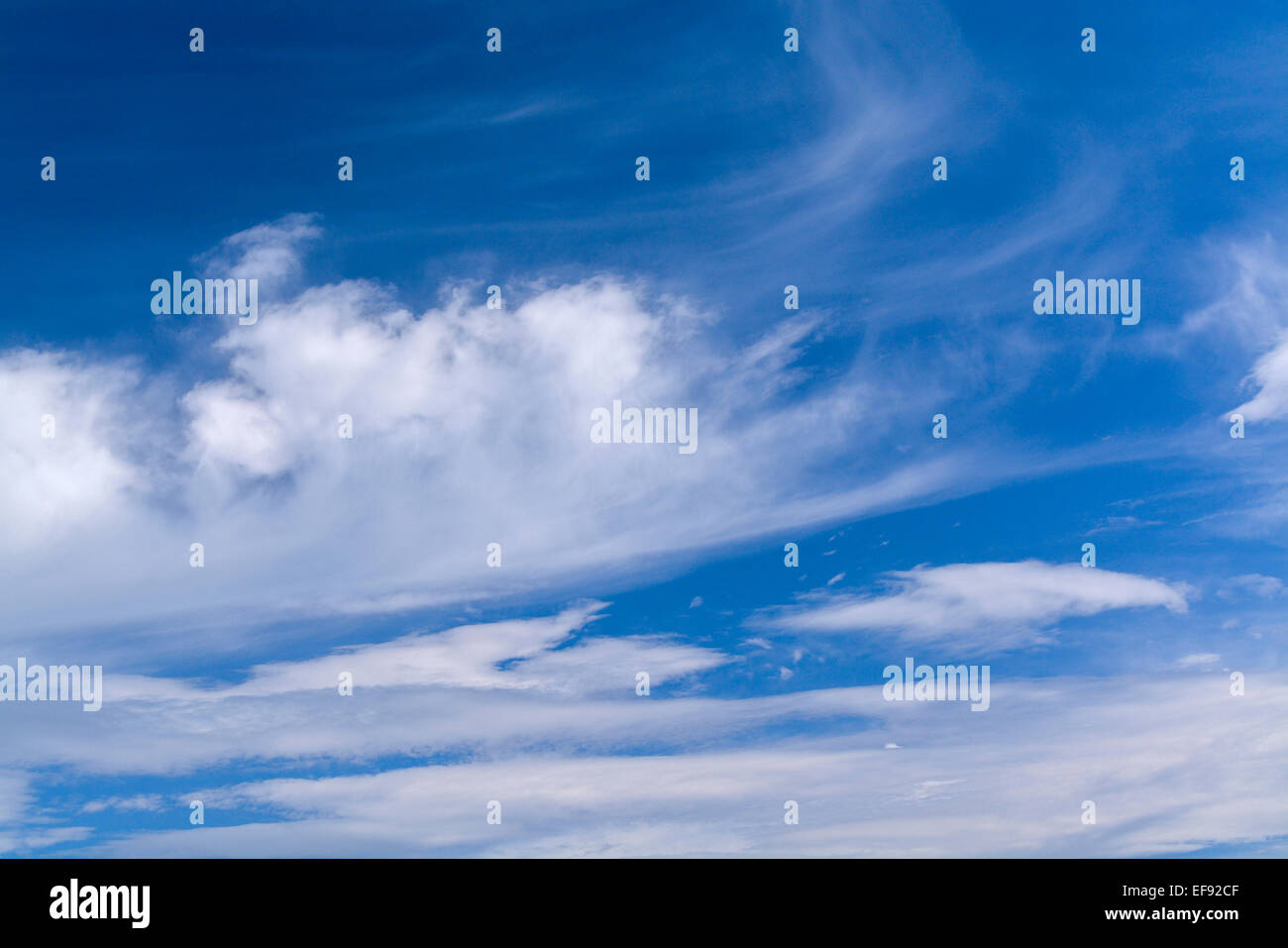Cirrus nuvole contro un cielo blu, UK. Foto Stock