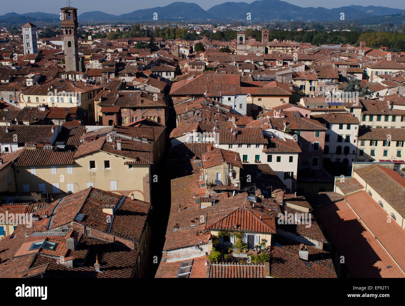 Vista dalla cima della torre Guinigi a Lucca, Toscana, Italia Foto Stock