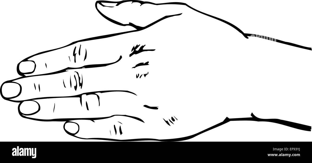 Mano aperta Illustrazione Vettoriale