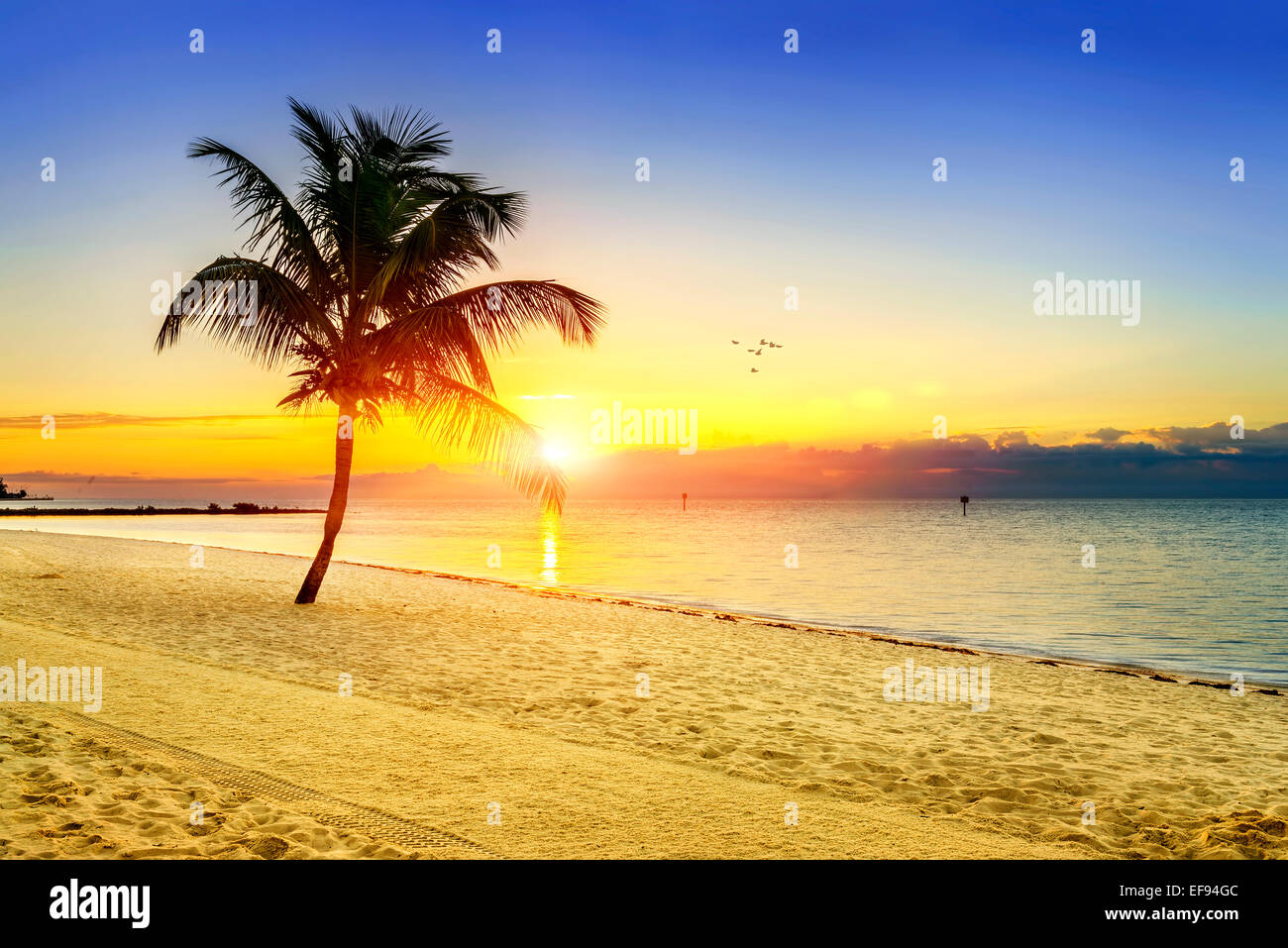Bellissima alba a Key West, Florida, Stati Uniti d'America Foto Stock