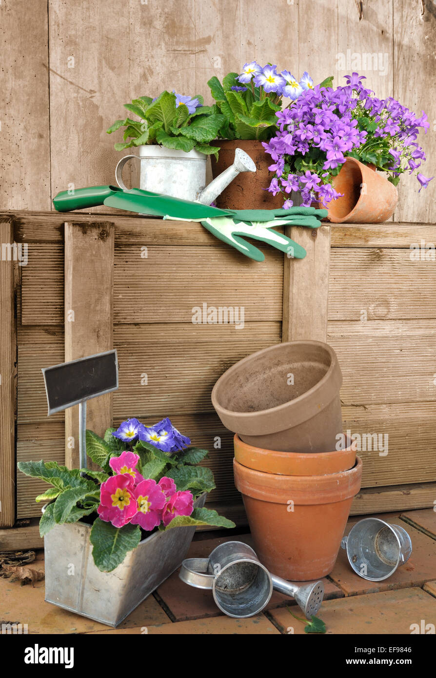 Fioriere e accessori giardino memorizzati su uno sfondo di legno Foto Stock