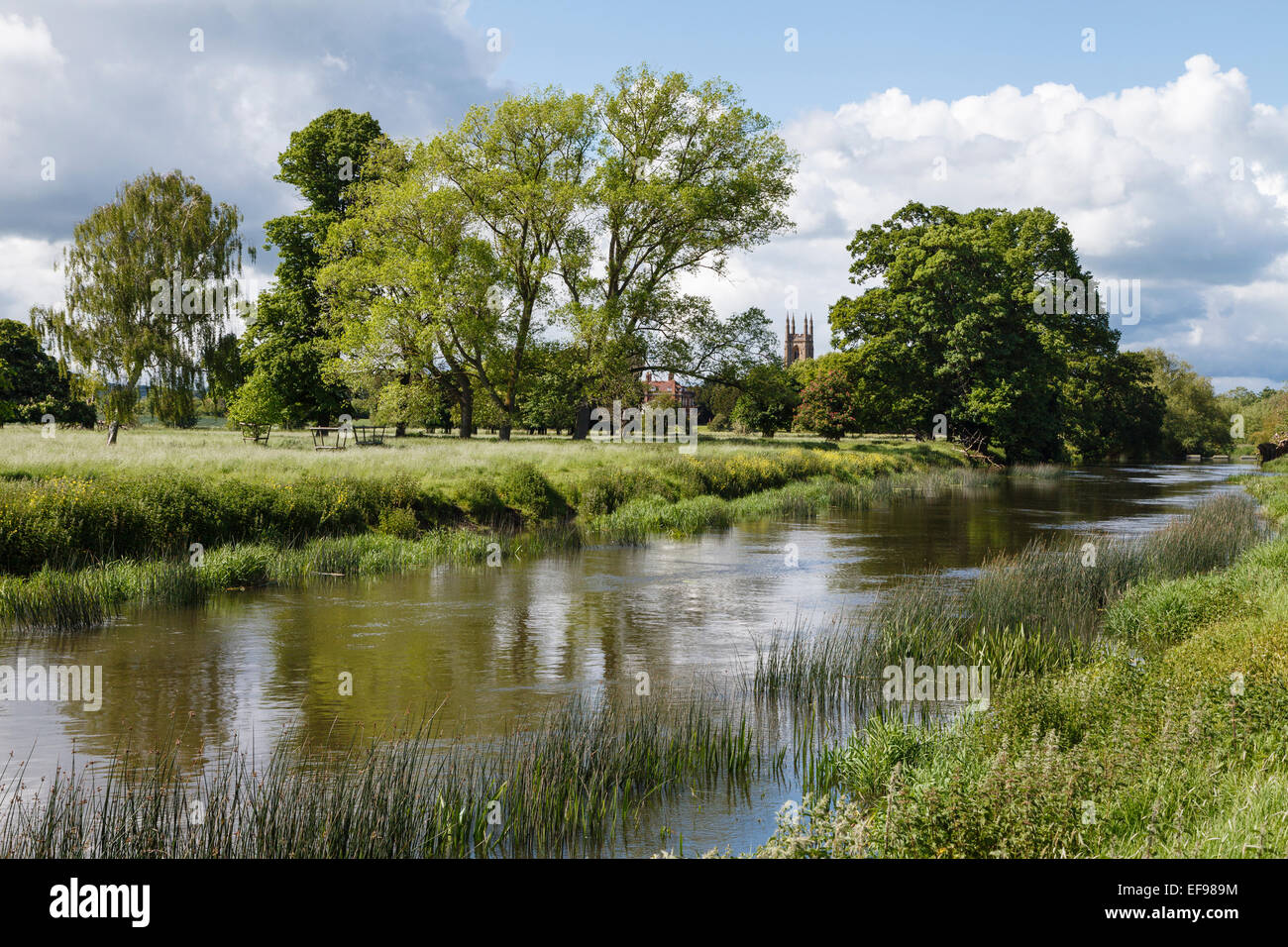 Vista sul Fiume Avon verso Hampton Lucy, Warwickshire, Inghilterra Foto Stock