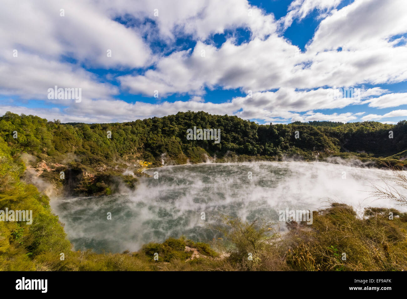 Padella Lago, Valle Vulcanica di Waimangu, una calda per la cottura a vapore sul lago nel nuovo nato vulcanica cratere Echo con acidi minerali ricchi di acqua Foto Stock