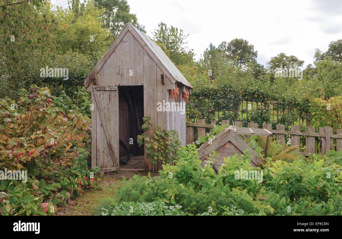 Giardino tradizionale capannone della frutta e della verdura al Giardino Rosemoor nel Devon, Inghilterra, Regno Unito Foto Stock