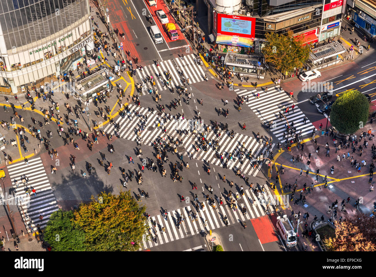 TOKYO - novembre 15: Shibuya Crossing Novembre 12, 2014 a Tokyo, Giappone. La traversata è uno del mondo più ben noto exam Foto Stock