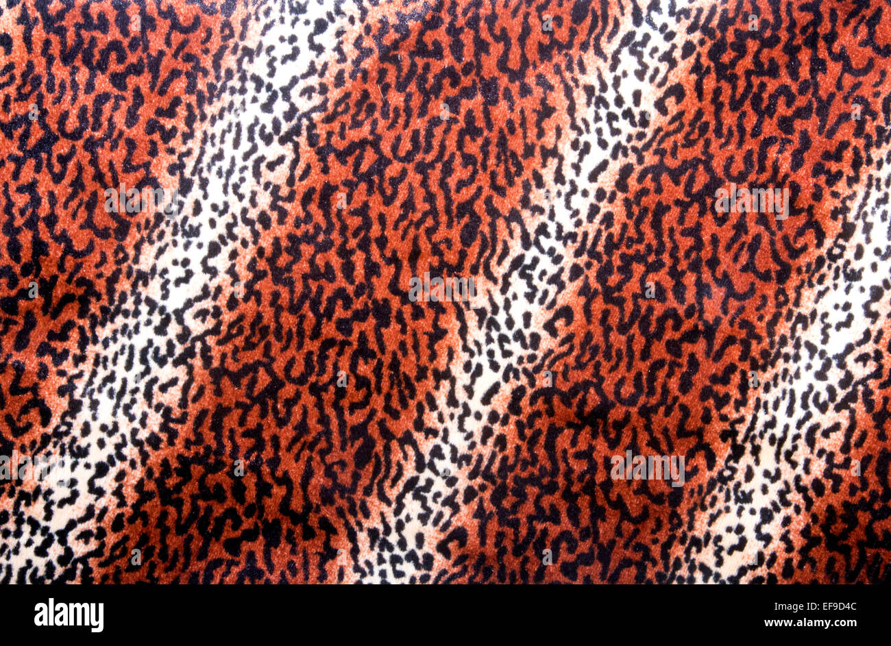 A pelle di leopardo sul modello di pelliccia di tessuto Foto Stock