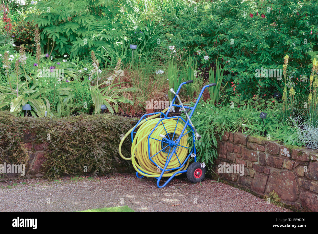 Tubo flessibile e l'aspo nei giardini a Rosemoor, Devon, Inghilterra, Regno Unito Foto Stock
