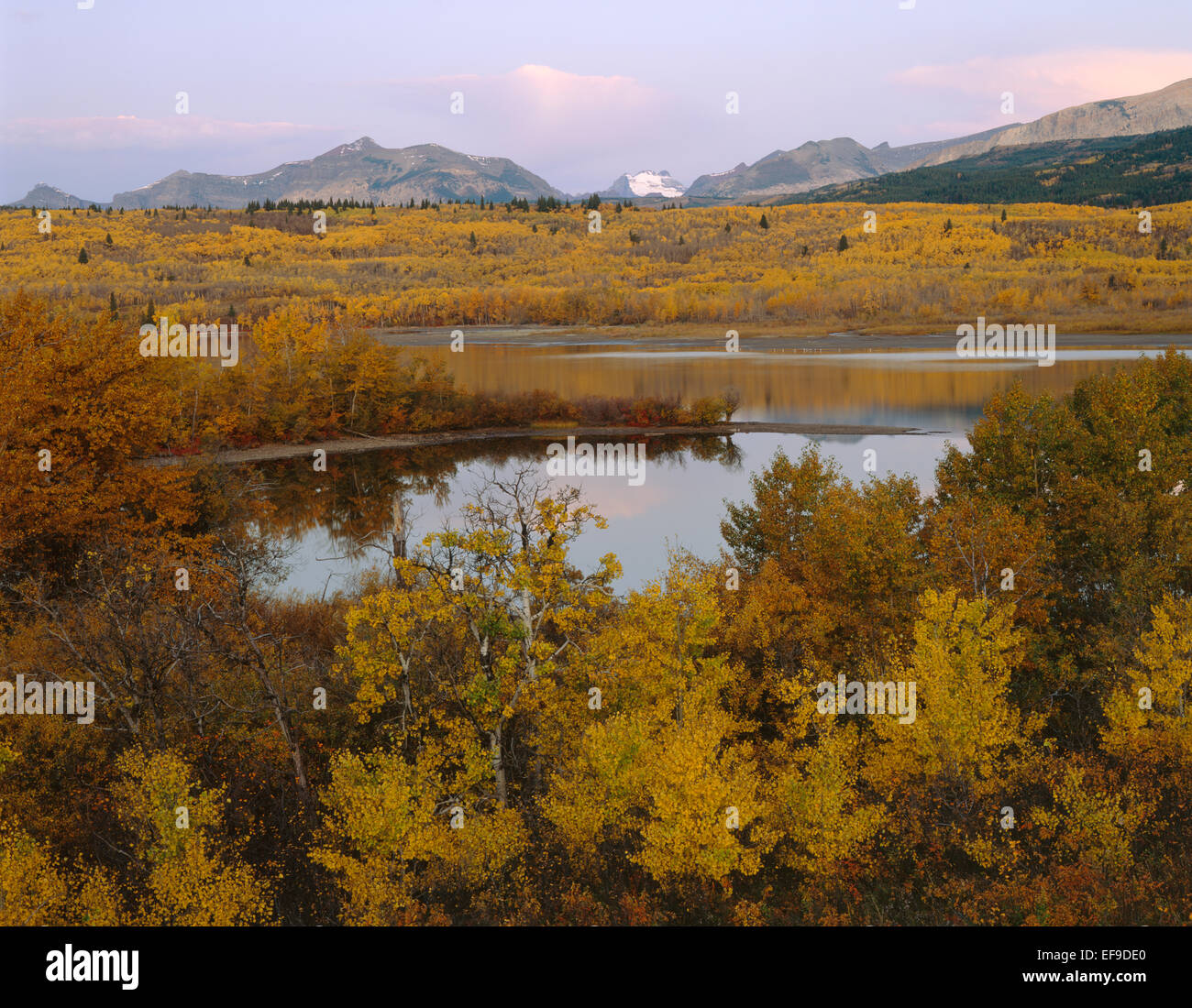 Abbassare St.Mary Lago in autunno a colori,il Glacier National Park, Montana, USA Foto Stock