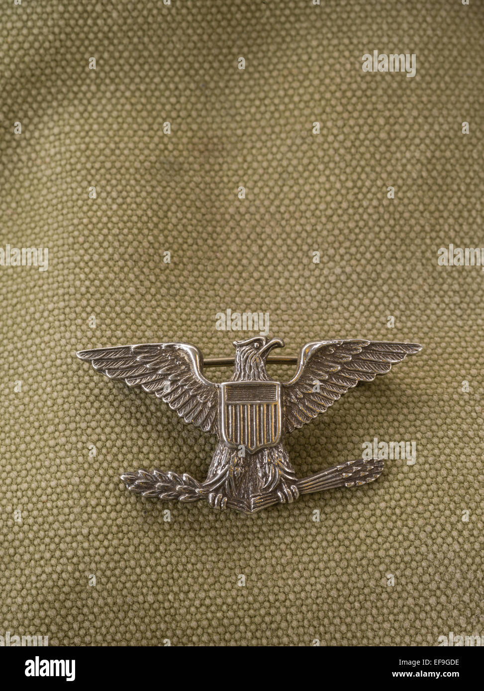 Bird colonnello argento American Eagle badge Foto Stock