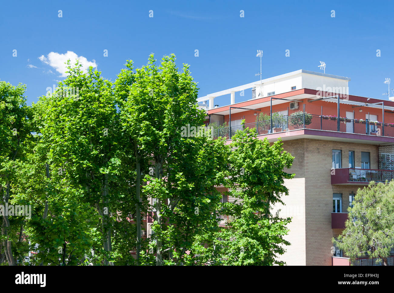 Parte superiore dell'edificio Foto Stock