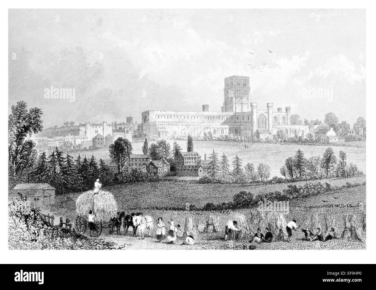 Incisione in acciaio 1842 da castelli e abbazie di Inghilterra Saint St Albans Abbey Foto Stock