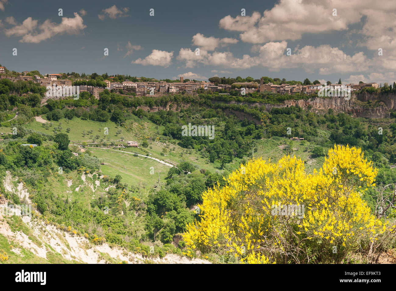 Natura del Lazio Foto Stock