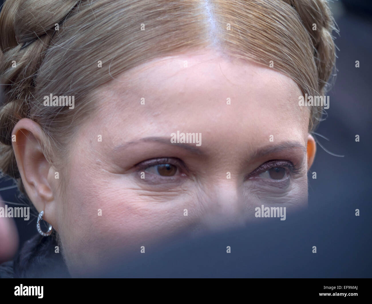 Kruty, Ucraina. Il 29 gennaio, 2015. Regione di Chernihiv, Ucraina. Il 29 gennaio, 2015. Yulia Tymoshenko. -- Politicinas ucraini, 29 gennaio 2015, ha partecipato alla cerimonia Kruty eroi, giovani ragazzi che in questo giorno nel 1918 vicino alla stazione Kruty nella regione di Chernihiv è entrato in una battaglia impari con i bolscevichi e sono morti di una morte eroica per l'Ucraina Repubblica popolare. © Igor Golovnov/Alamy Live News Credit: Igor Golovnov/Alamy Live News Foto Stock