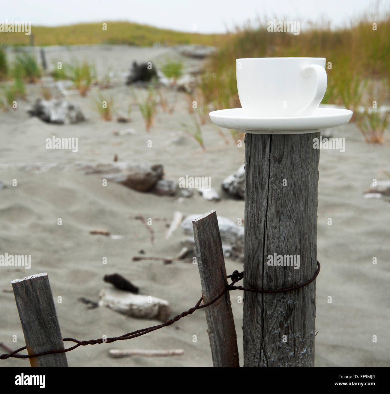 Tazza di caffè in appoggio su di un palo da recinzione su una spiaggia deserta in Oregon, USA Foto Stock