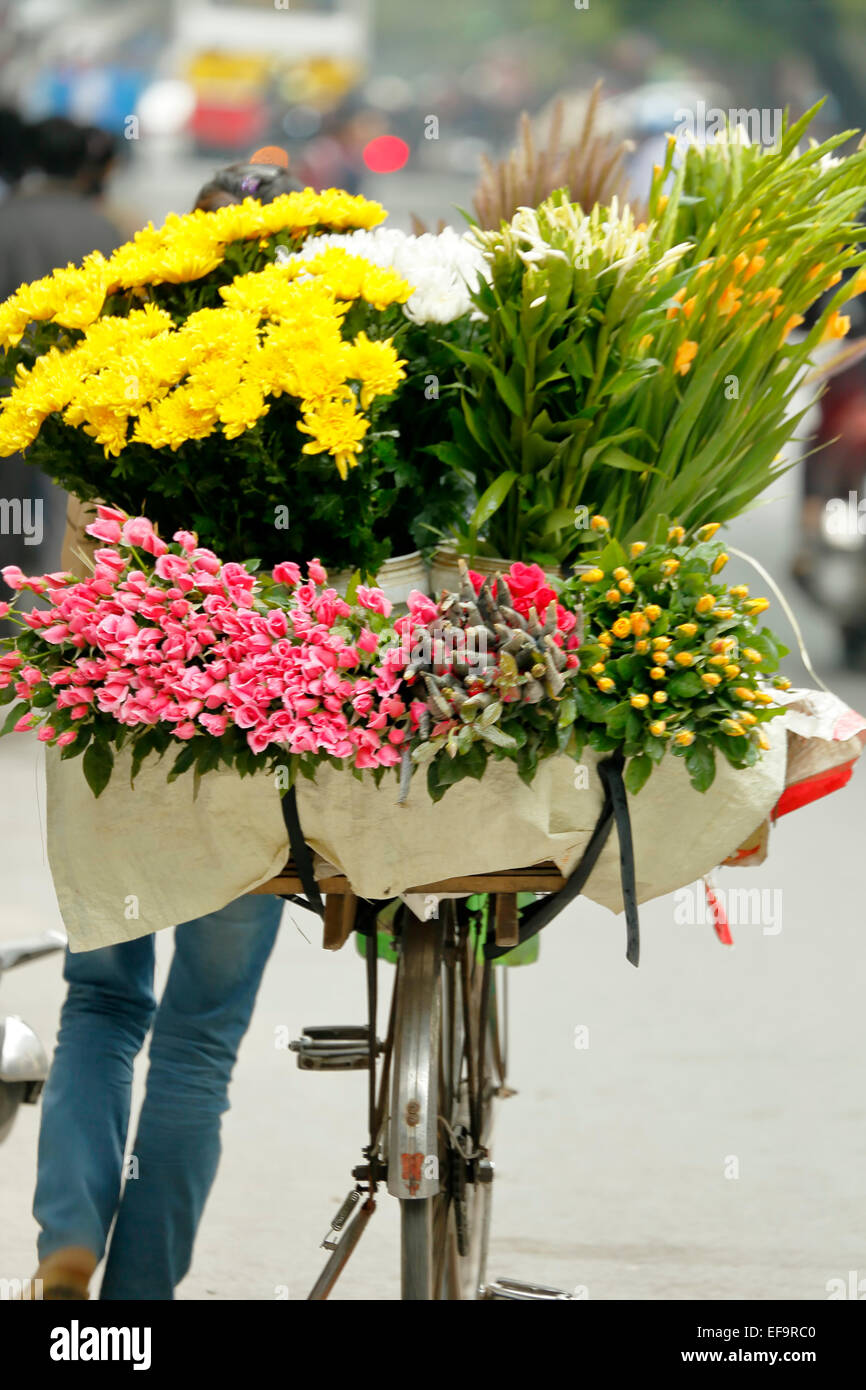 Donna che vendono fiori da bicicletta, Quartiere Vecchio (aka il 36 strade), Hanoi, Vietnam Foto Stock