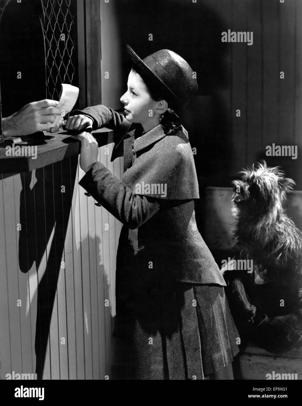 VIRGINIA WEIDLER & TOTO BAD LITTLE ANGEL (1939) Foto Stock