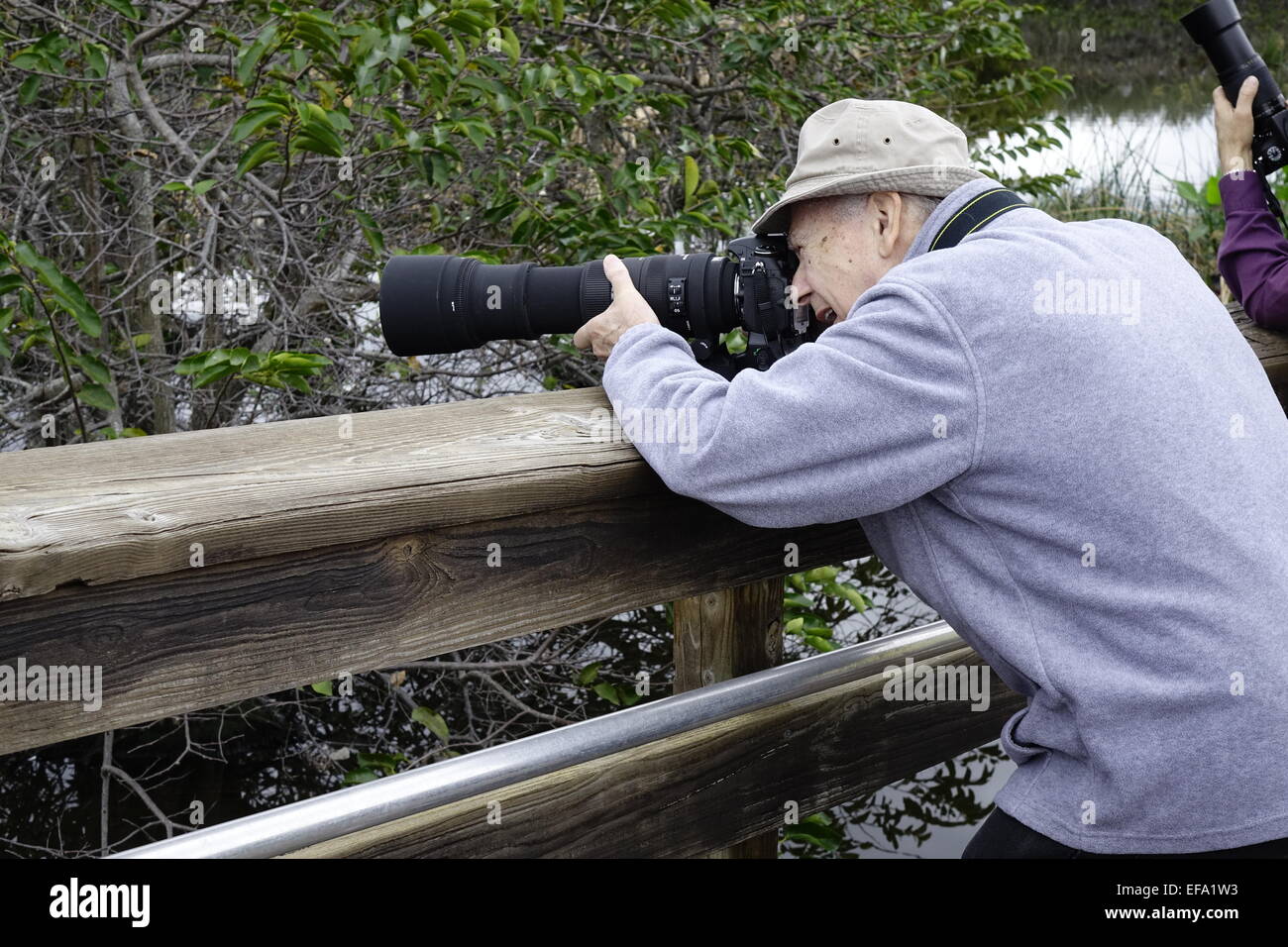 Fotografo con un teleobiettivo checking out gli uccelli a Wakodahatchee zone umide, Delray Beach, Palm Beach County, Florida Foto Stock