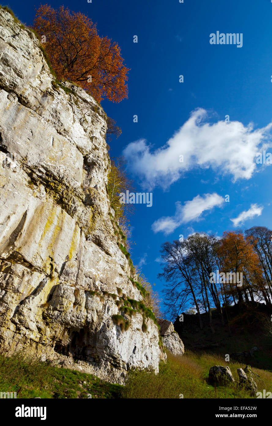 Scenario di calcare a Wolfscote Dale vicino a Hartington in bianco area del picco del Parco Nazionale del Peak District Derbyshire England Regno Unito Foto Stock