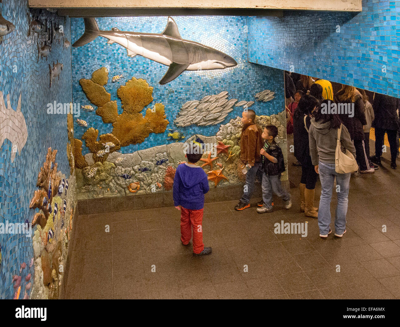 Mosaici di Sea life decorano la 81st Street la stazione della metropolitana di New York City alla NY Museo di Storia Naturale a Manhattan's West Side. Foto Stock