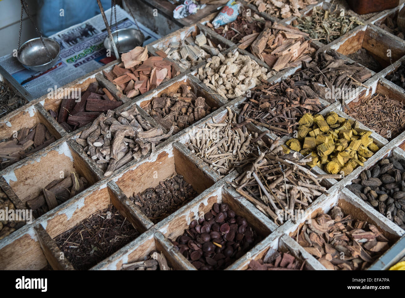 Negozio di vendita selezione di erbe,prodotti a base di erbe e spezie al negozio ayurvedica in Tissamaharama, Tissa, cittadina nei pressi di Yala,Sri Lanka. Foto Stock