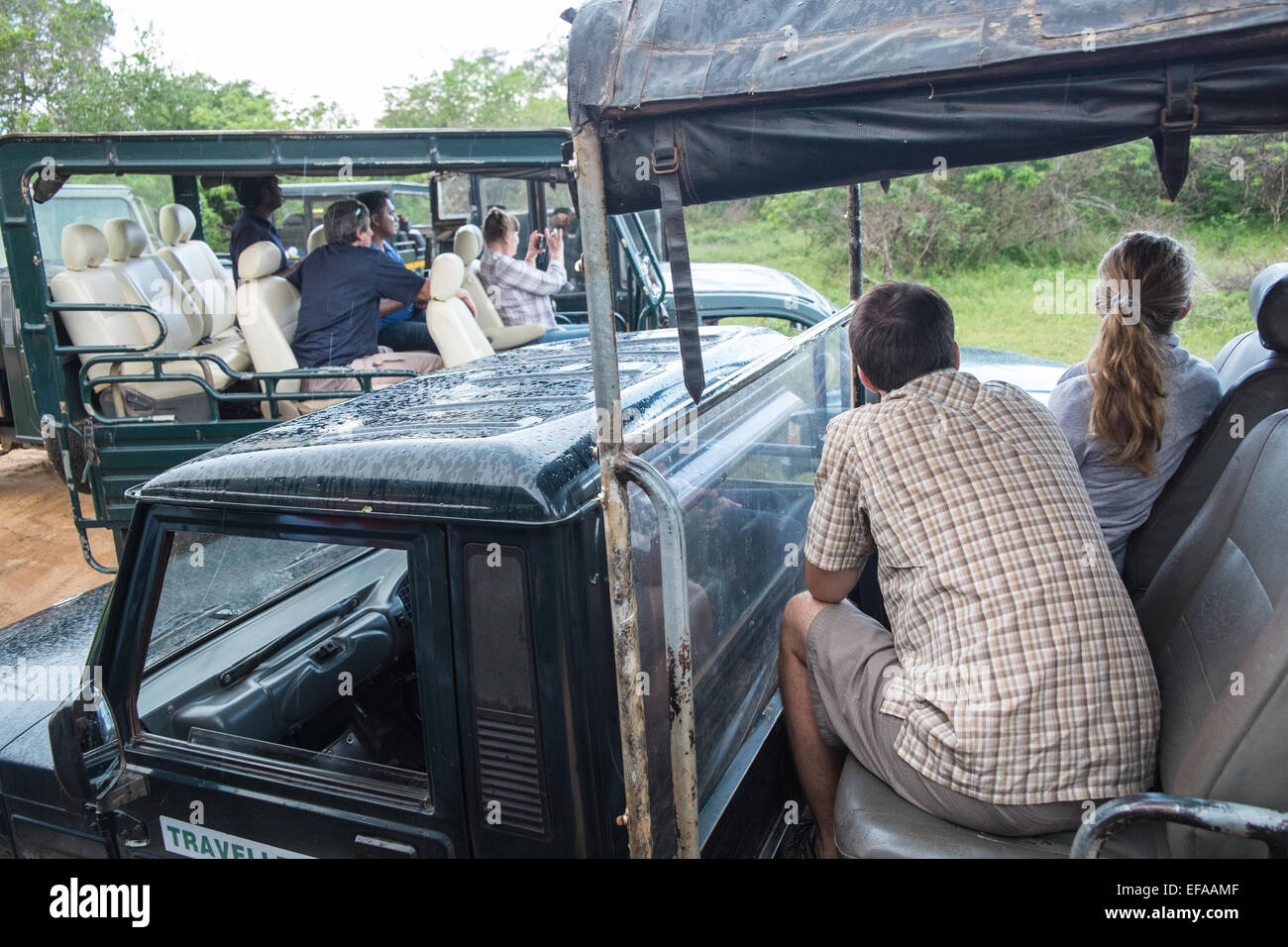 I turisti in jeep gli inceppamenti di traffico inseguono mentre la fauna selvatica,specialmente leopardi,in confezioni di veicoli.Yala National Park,Sri Lanka. Foto Stock