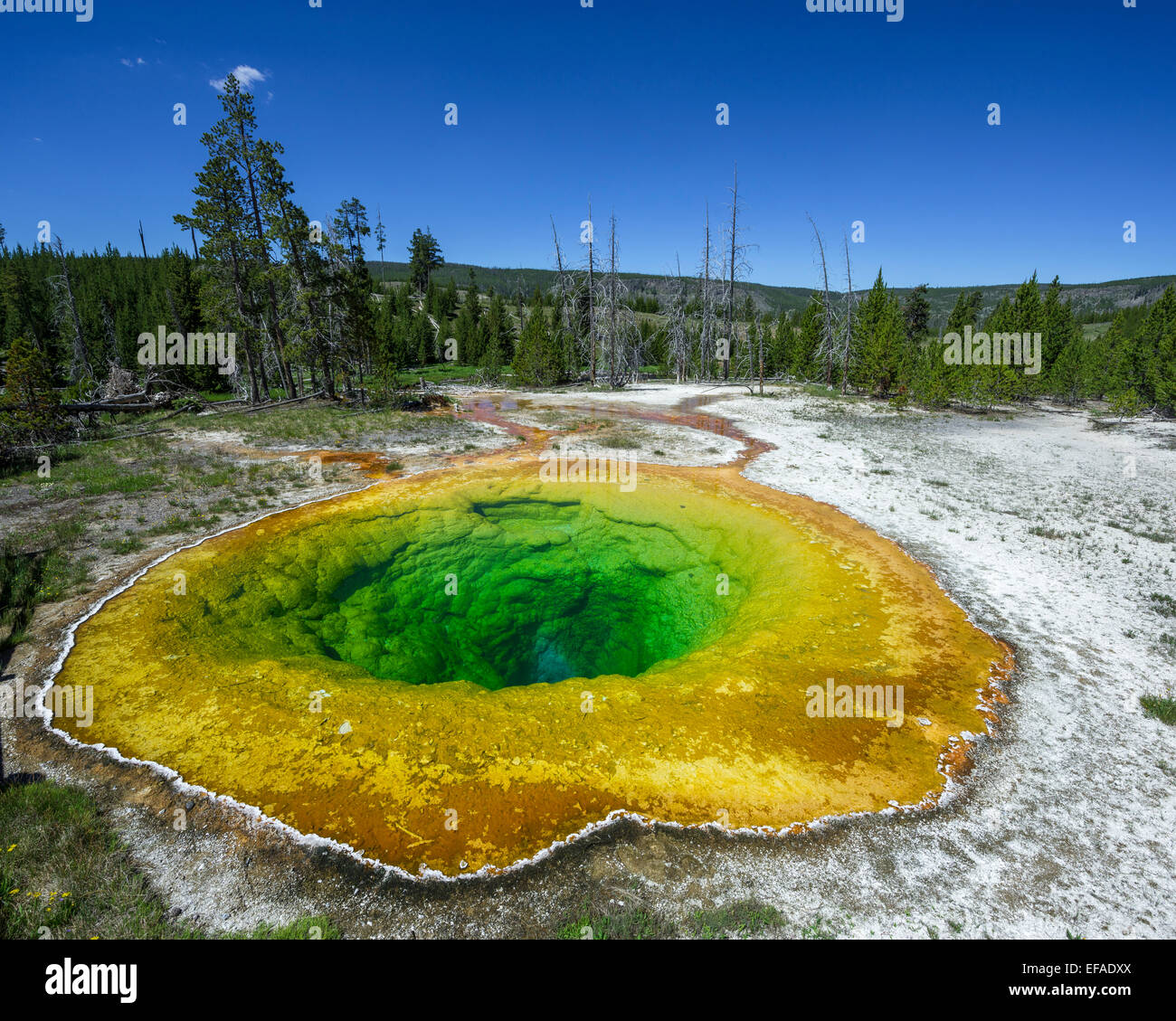 Gloria di mattina piscina, parco nazionale di Yellowstone, Wyoming negli Stati Uniti Foto Stock
