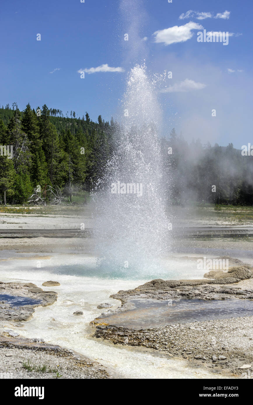 Incerto geyser, il parco nazionale di Yellowstone, Wyoming negli Stati Uniti Foto Stock