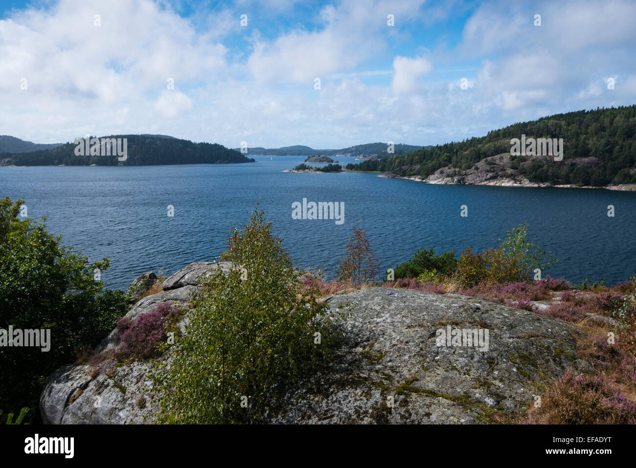 Isole in un arcipelago, vista dall'isola di Orust, Västra Götaland County, Bohuslän, Svezia Foto Stock