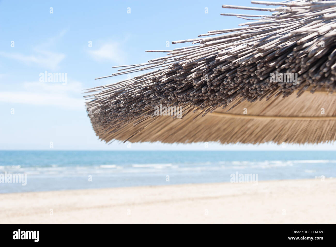 Ombrelloni sulla spiaggia Foto Stock