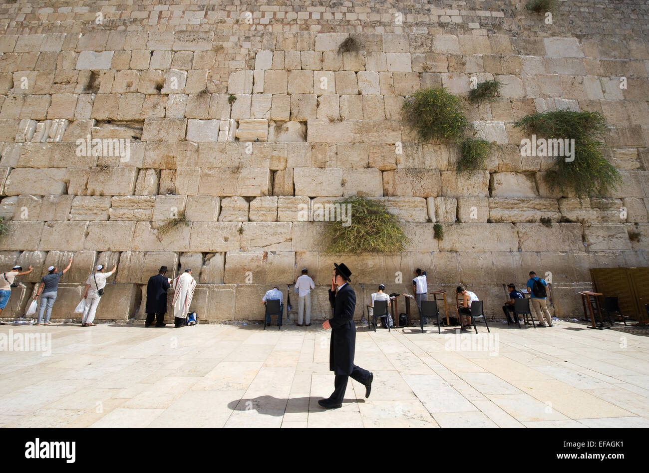 Gli uomini ebrei sono in preghiera davanti al muro occidentale nella città vecchia di Gerusalemme Foto Stock