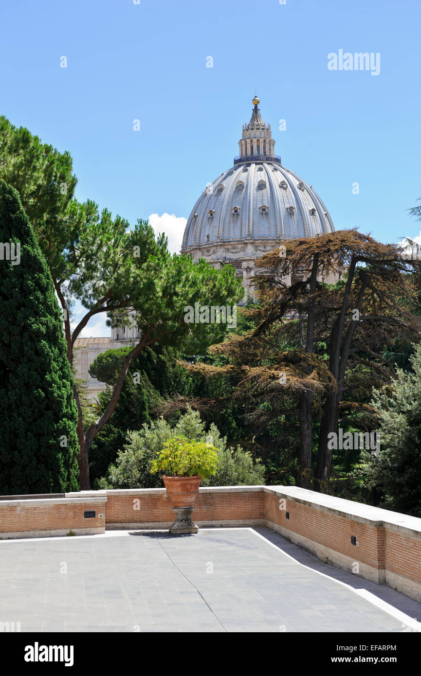 Cupola della Basilica di San Pietro contro un cielo blu visto dal Vaticano nel giardino del museo, Città del Vaticano, Roma, Italia. Foto Stock