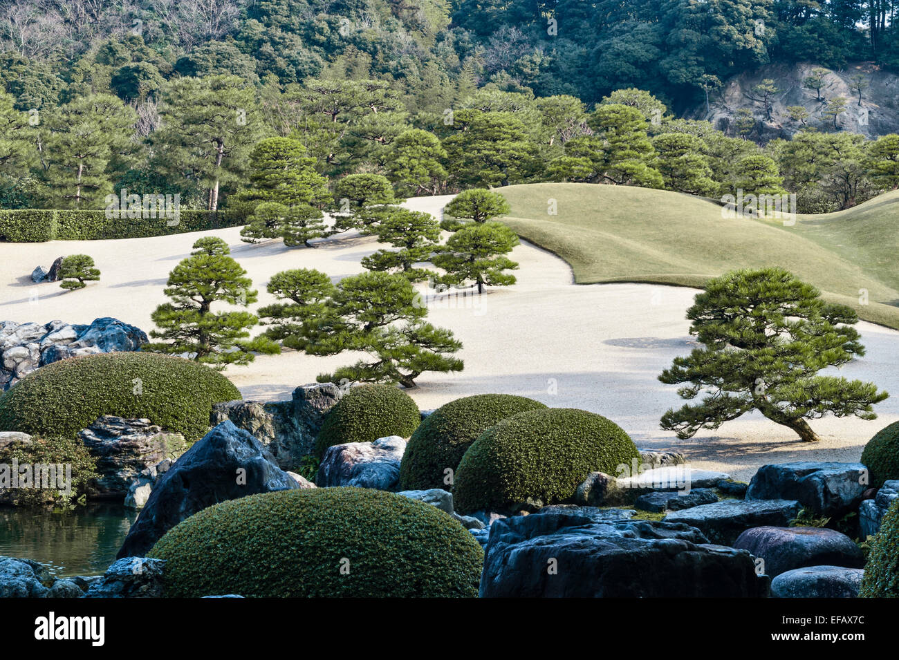 Matsue, Honshu, Giappone. Il White Gravel and Pine Garden, o giardino kare-sansui, nei giardini 20c del Museo d'Arte Adachi, realizzato da Adachi Zenko Foto Stock