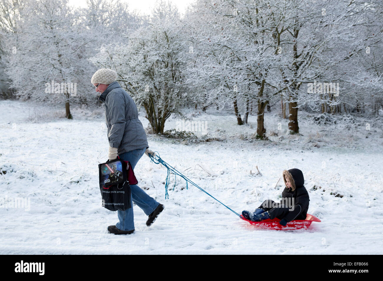 Coperta di neve baddesley ensor nel nord Warwickshire, Regno Unito. Un bambino è sledged a scuola lungo la collina di chiavi da un adulto Foto Stock