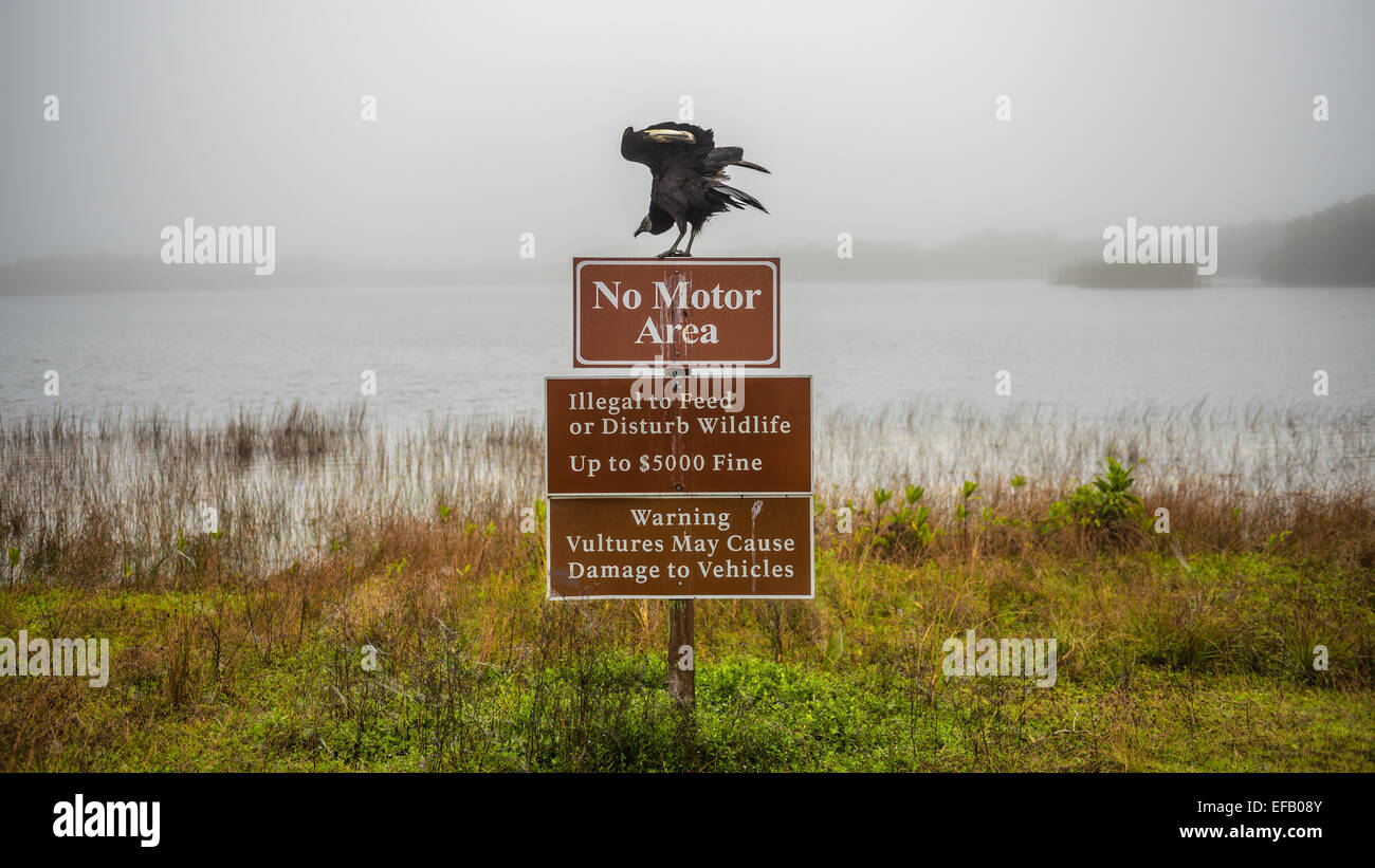 Gli avvoltoi cartello di avviso con un avvoltoio sulla sommità di esso nel parco nazionale delle Everglades, Florida Foto Stock