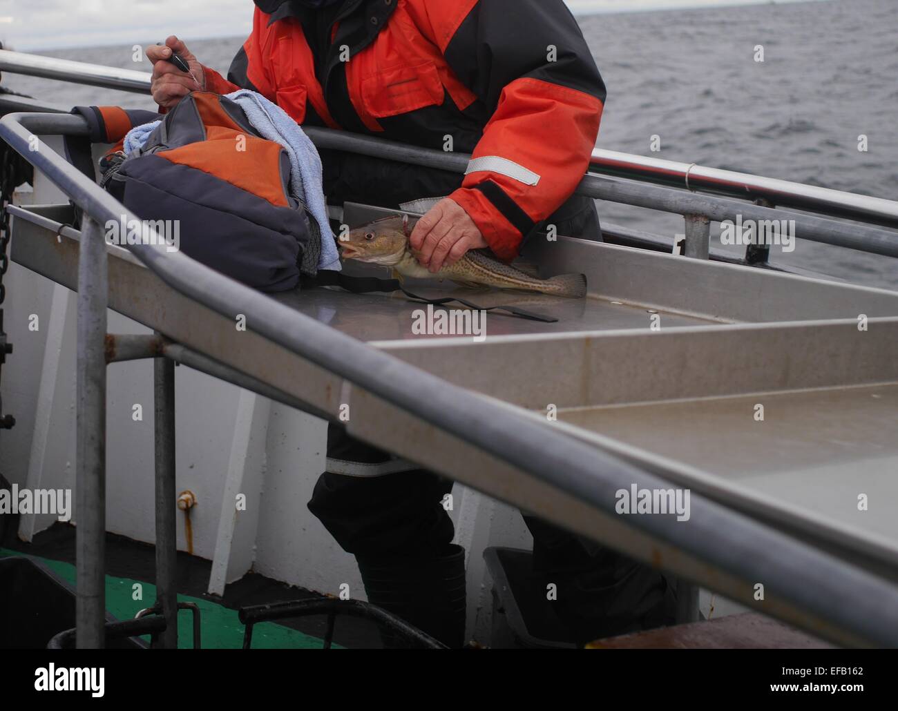 Merluzzo bianco Pesce e pescatore su sfondo dea Foto Stock