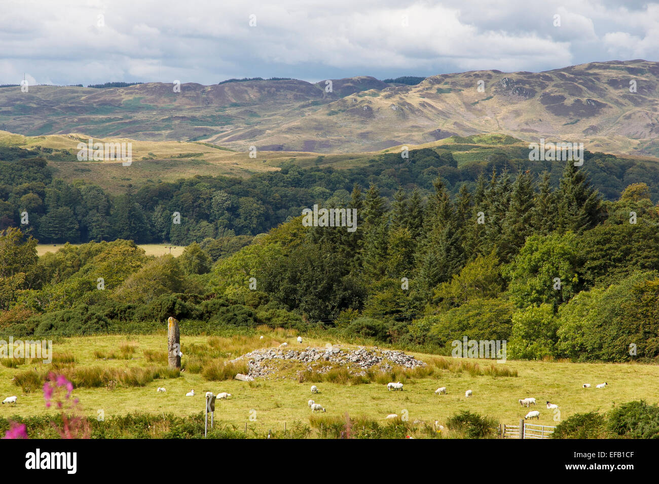 Un unico antica pietra permanente nel paesaggio Mid-Argyll sulla A816 a nord di Kilmartin vicino Craigdhu e Ardfern Foto Stock