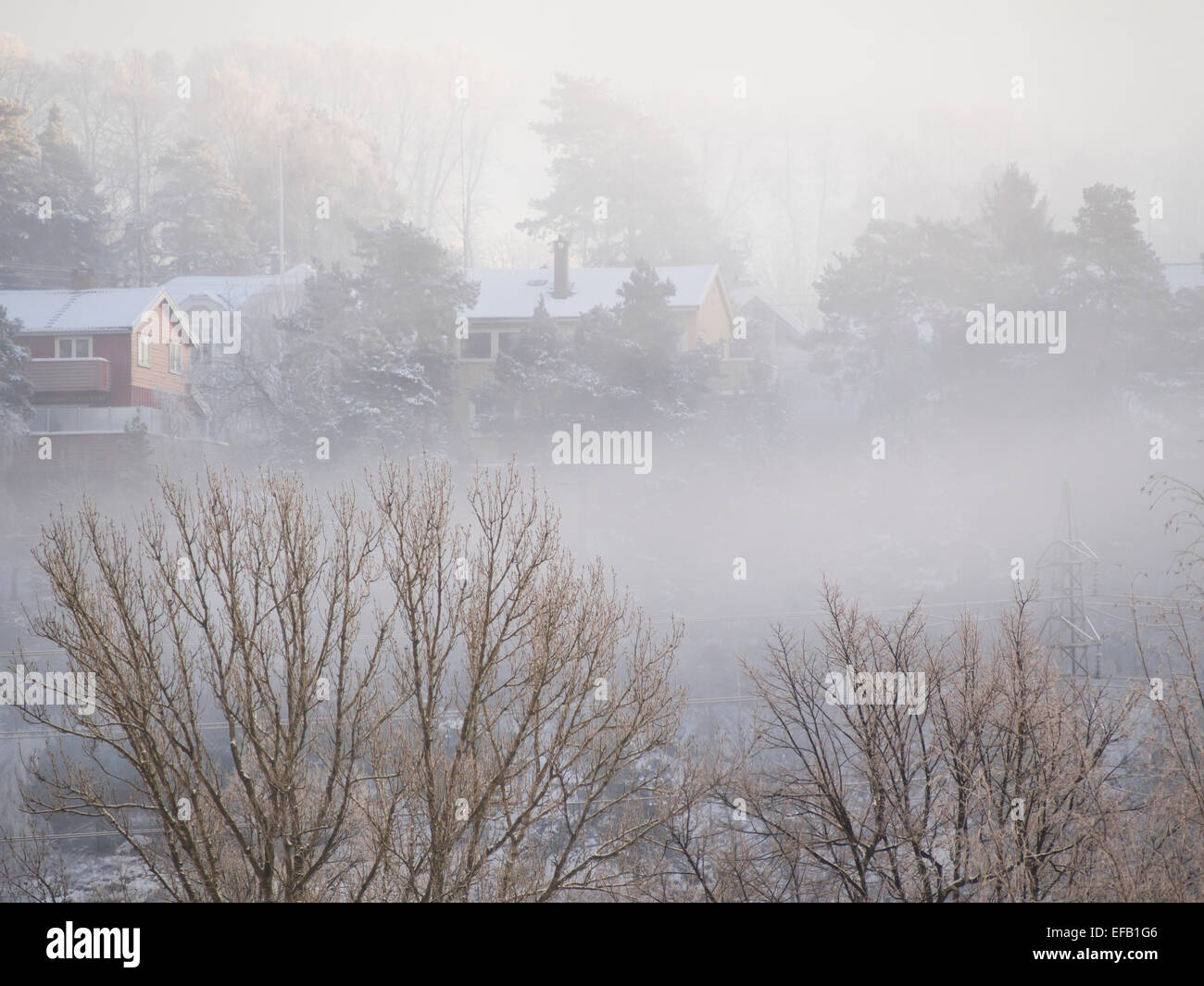 Inverno a Oslo Norvegia, collinare con il pupazzo di neve alberi, neve e nebbioso di patch Foto Stock