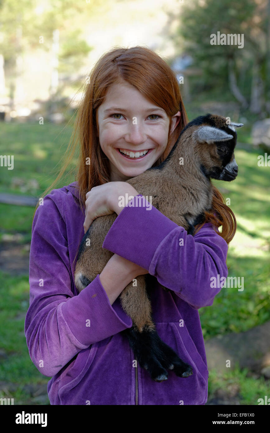 Ragazza con una capra nana in uno zoo di animali domestici a Schopperalm, Schopper Alm, Gießenbachklamm gorge vicino Kiefersfelden, valle Inn Foto Stock