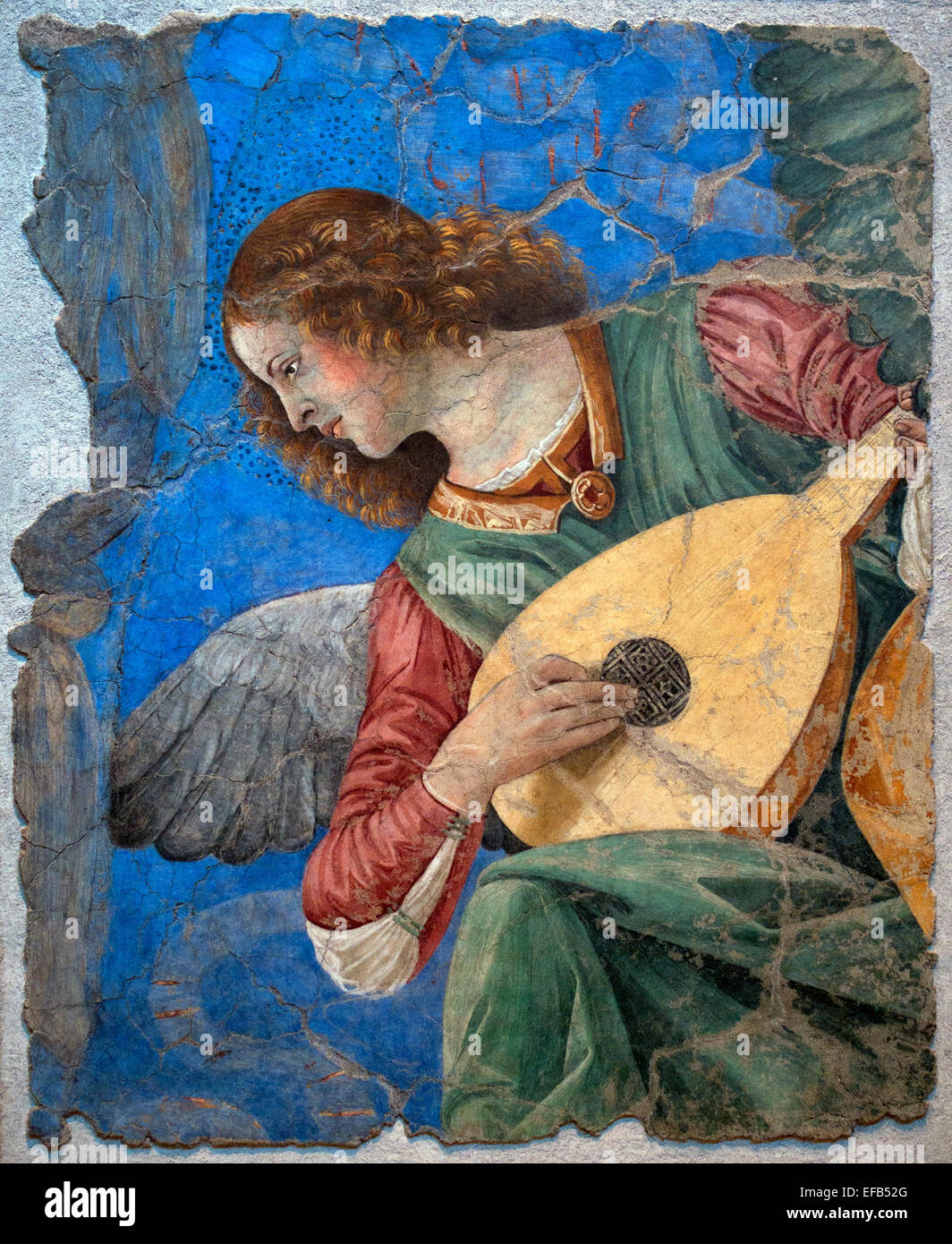 Angelo musicista (affresco), Forli, Melozzo da (1438-94) Pinacoteca Vaticano Roma Italia Foto Stock